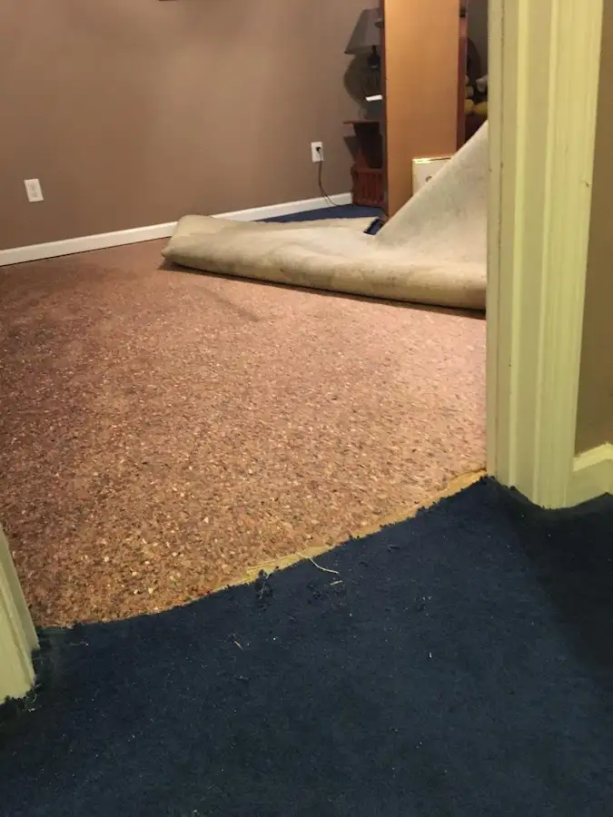 Carpet pad removal revealing water damage during Drying & Dehumidification in Ashwaubenon