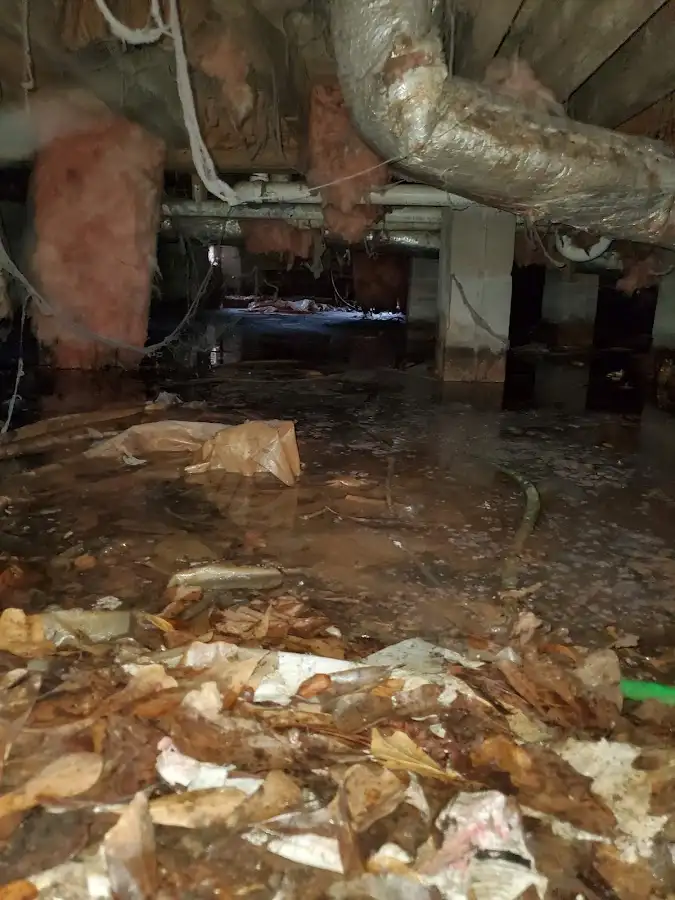 Crawl space flood assessment for Leak Detection & Repair in Ashwaubenon